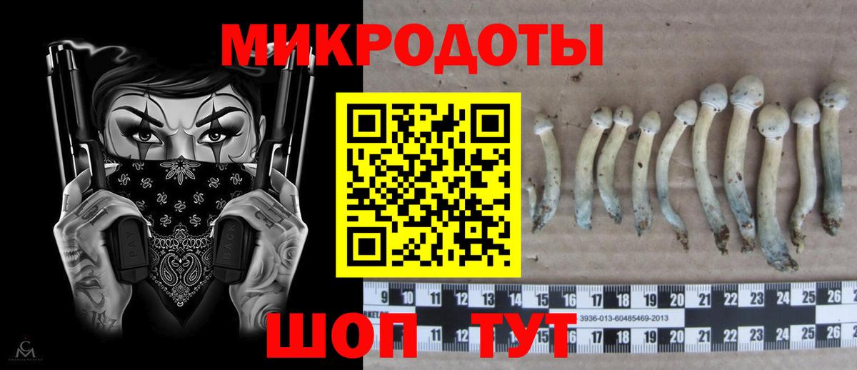 Галлюциногенные грибы мицелий Городец
